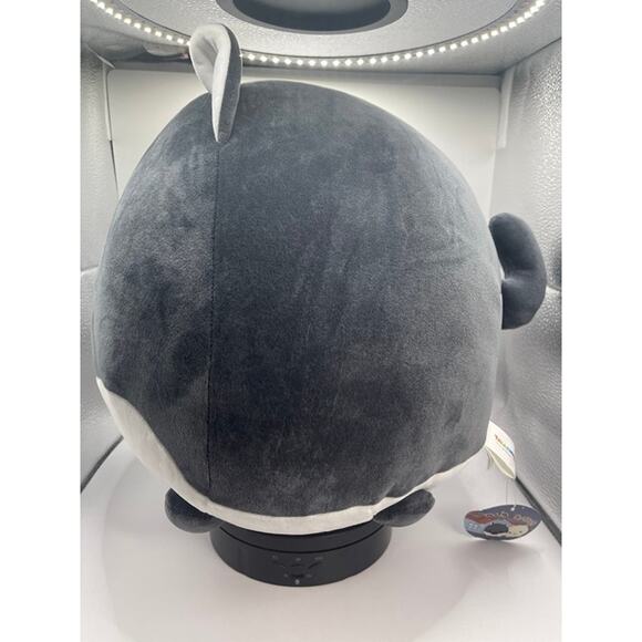 Takashoji 11 Inch Grey & White Cat Plush - NWT - Picture 4 of 6